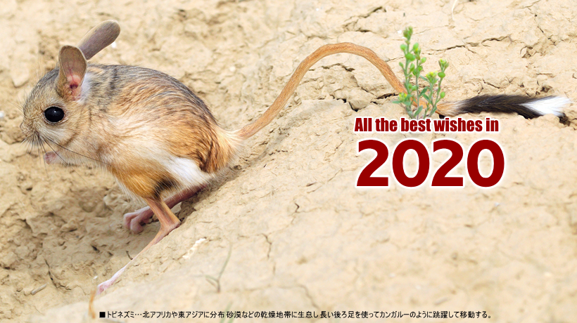 2020 謹賀新年