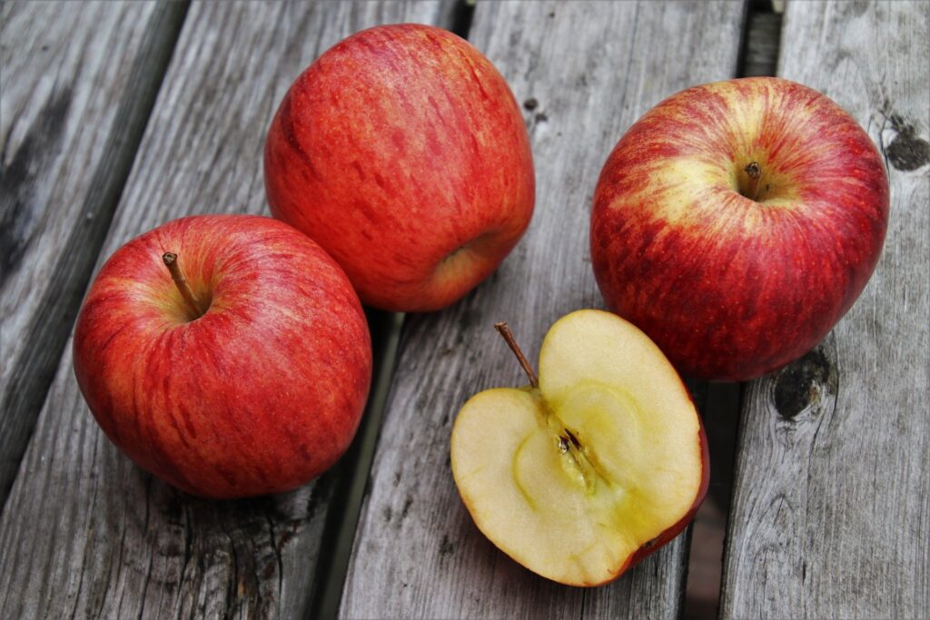 動物たちの健康維持に役立てたい食べ物～ドライフルーツ編「リンゴ」～