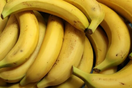 動物たちの健康維持に役立てたい食べ物～ドライフルーツ編「バナナ」～