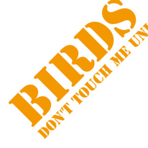 birds.o.t