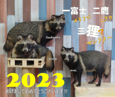 謹賀新年 2023