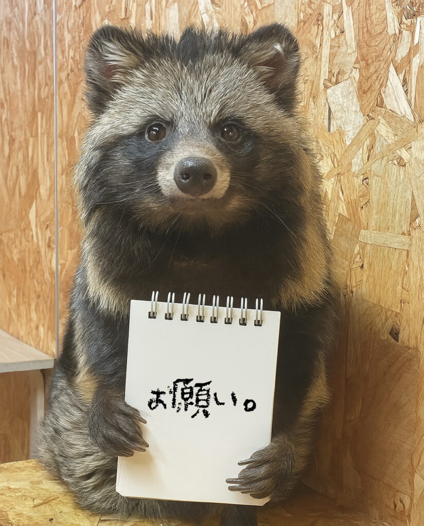 タヌキの十戒 … 人の世界に来てしまった わたしからの願い